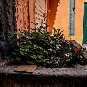 Little House , Neapel Italien